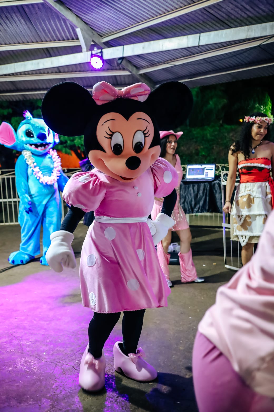 Minnie rosa em animação da Realize